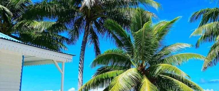 Opoa Beach Hôtel Raiatea