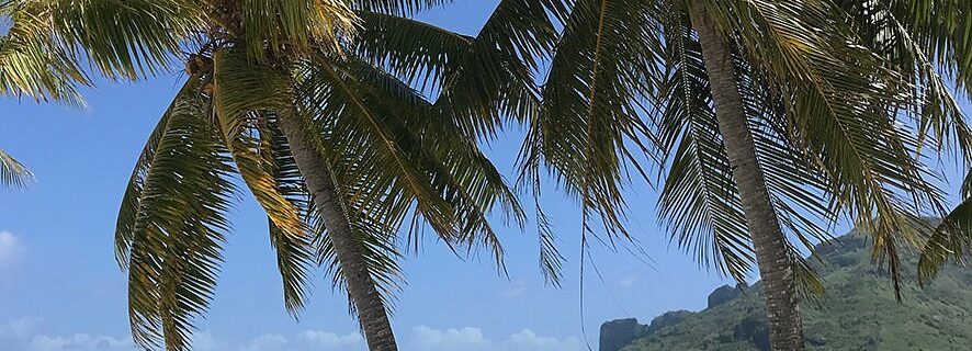 Pension Maupiti Orovaru